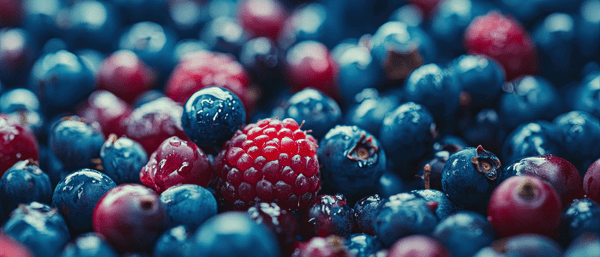 Berriotics® fermented berry complex ingredient card to support antioxidant balance and metabolic health