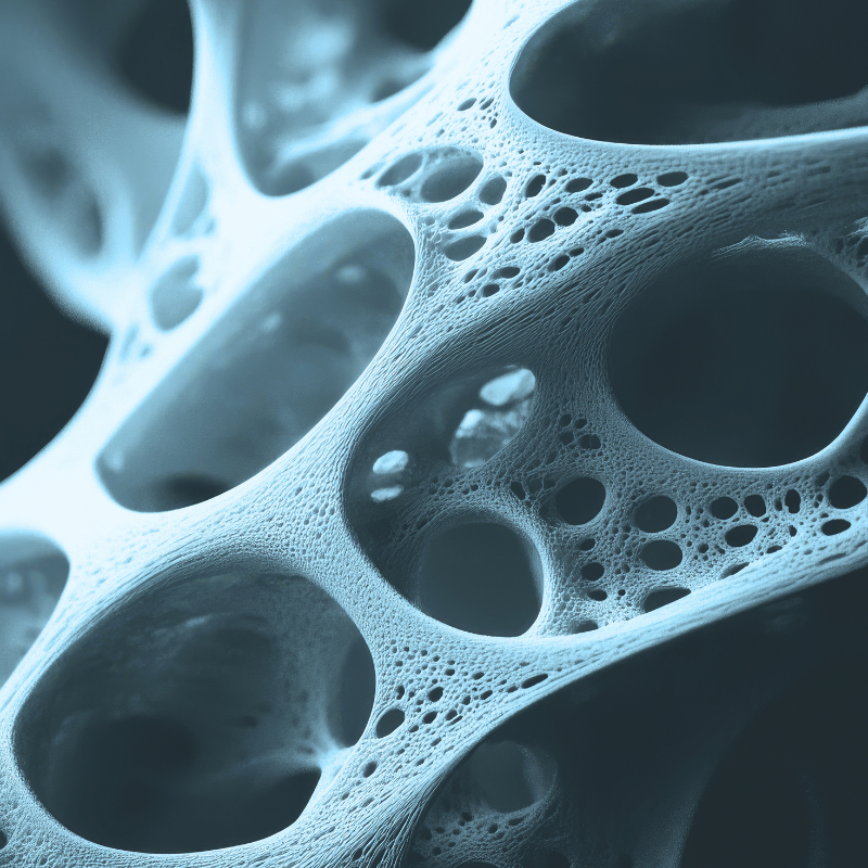 Bone and joint stack to support bone strength, mobility and joint health