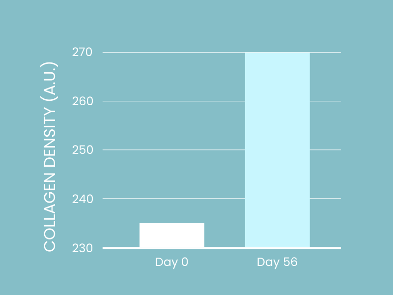 Study with women aged between 45 and 65 years. After 56 days of taking Mesoporosil® Silicium, used within LUNJ FitGlo®. 