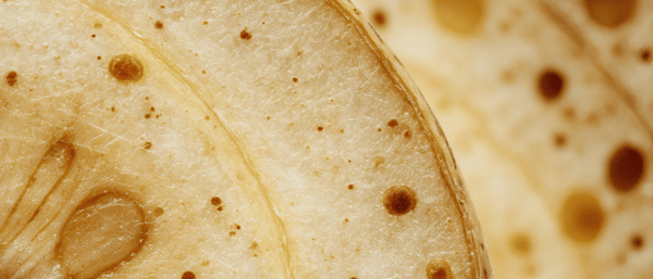 Potassium ingredient card to support hydration, nerve signalling and muscle function